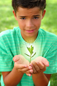 植物发芽生长发光光少年男孩手