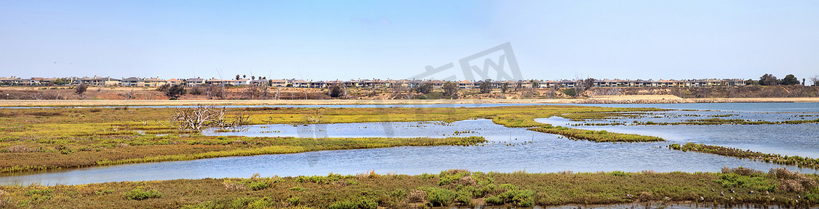 Bolsa Chica 湿地宁静祥和的沼泽