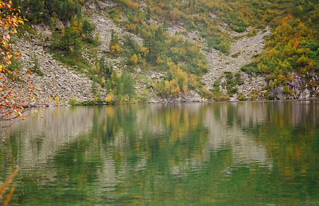 河流在阿尔泰山脉和森林之间。