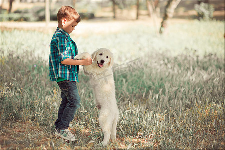 可爱帅气的蓝眼睛男孩在户外玩耍，带着令人惊叹的白色粉红色拉布拉多猎犬小狗，享受夏日阳光明媚的假期周末，充满快乐。快乐的微笑孩子和最好的朋友