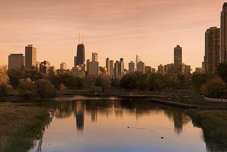 从林肯公园看到的芝加哥天际线