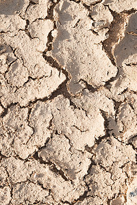 干裂的摄影照片_全球变暖的概念，关闭干裂的地面。