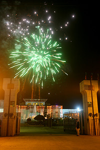 尼泊尔 - 庆祝活动 - 宪法
