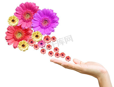 女人的手与花