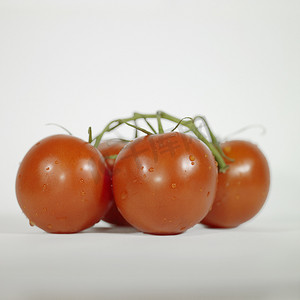 葡萄藤上的西红柿