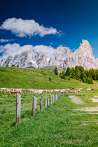 广告精彩摄影照片_来自 Baita Segantini - Passo Rolle 意大利的 Pale di San Martino，意大利北部白云岩 Pale di San Martino 群最著名的山峰 Cimon della Pala 的景色