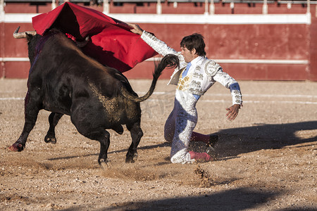 少儿搏击格斗写真摄影照片_2009 年 10 月 11 日，在西班牙安达卢西亚哈恩省的 Beas de segura 斗牛场，斗牛士阿尔贝托·拉梅拉斯用你的右手在斗牛场上以非常复杂的姿势进行了一次传球