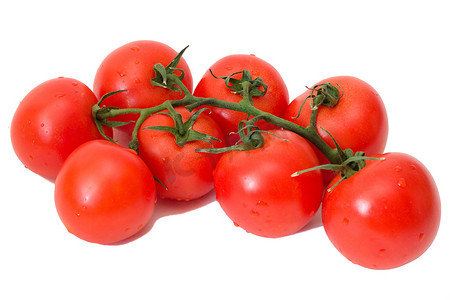 西红柿的分支