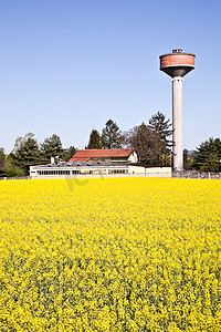 乡村与水塔