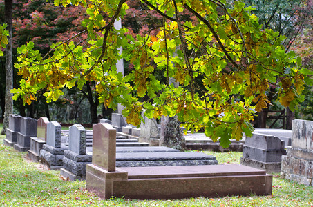 秋天的公墓/墓地