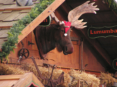 麋鹿圣诞摄影照片_圣诞驼鹿