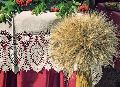 花边织物背景上的一捆小麦。