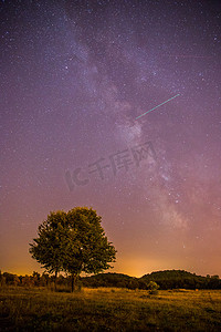 夜晚和星星景观：夜晚清澈的银河，孤独的田野和树木