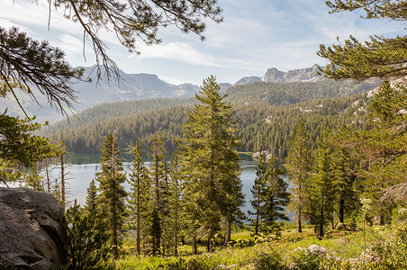 猛犸摄影照片_加利福尼亚州猛犸湖远处有松树和湖泊的山腰