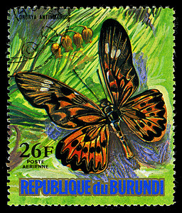 蝴蝶邮票摄影照片_布隆迪共和国 — 大约 1974 年：在布隆迪印刷的邮票显示一只蝴蝶 Drurya Antimacrus，系列，大约 1974 年