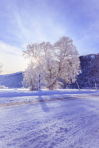 冬季田园诗摄影照片_阿尔卑斯山阳光明媚的冬季景观：山脉、多雪的树木和田野
