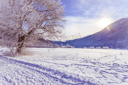 阿尔卑斯山阳光明媚的冬季景观：山脉、多雪的树木和田野