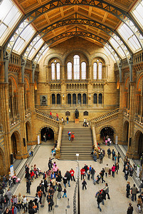 伦敦自然历史博物馆大厅