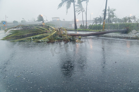 台风摄影照片_台风期间道路上的树木和碎片