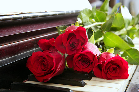 钢琴上的经典红玫瑰复古浪漫情人节
