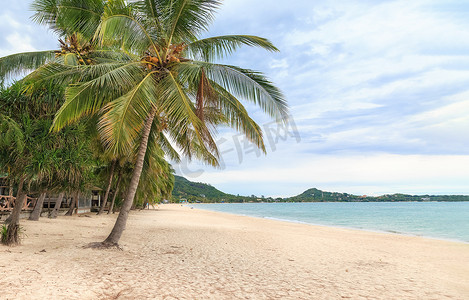 泰国苏梅岛拉迈海滩的白色沙滩。 