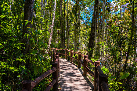 翡翠池，优胜美地国家公园，甲米，泰国，木 pa