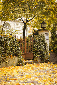 秋天的城市花园入口，落叶