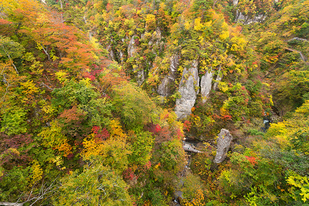 秋天的鸣子峡谷