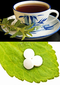 Stevia rebaudiana, 支持糖, 片剂