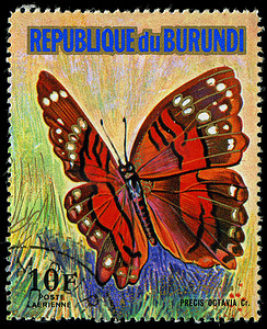蝴蝶邮票摄影照片_布隆迪共和国 - 大约 1974 年：在布隆迪印刷的邮票显示一只蝴蝶 Precis Octavia Cr.，系列，大约 1974 年