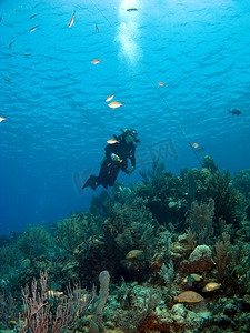 在开曼布拉克岛仰望水肺潜水员
