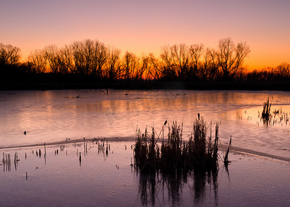 冬季日出时结冰的池塘，美国内布拉斯加州兰开斯特县