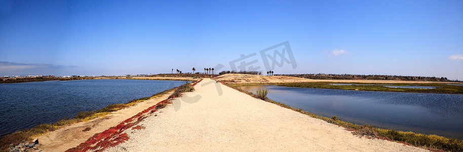 湿地徒步摄影照片_沿着 Bolsa Chica wetlan 宁静祥和的沼泽小径