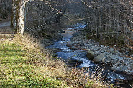 巴尔干山脉特特文镇附近，山河 Vit 在秋季森林中流淌在苔藓岩石和大石头上的壮丽景观