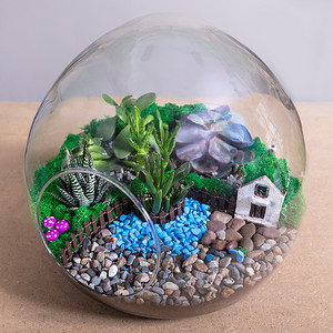 水晶球、沙子、岩石、装饰屋、多汁植物、圆形玻璃中的仙人掌