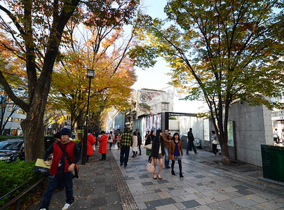 东京-11 月 24 日： 人们在表参道山附近购物