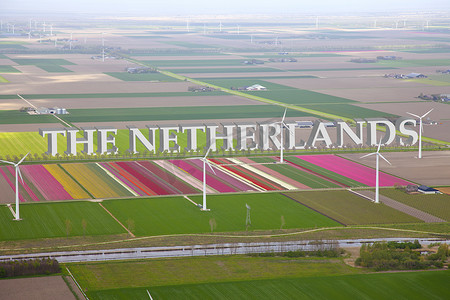 鲜花从摄影照片_荷兰五颜六色的花田从上面与荷兰 3d 文本