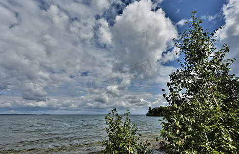 在湖和多云天空的背景的树木繁茂的岸