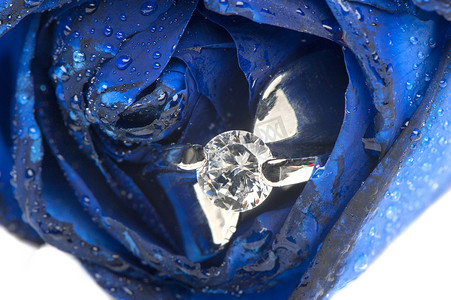 蓝玫瑰和结婚戒指