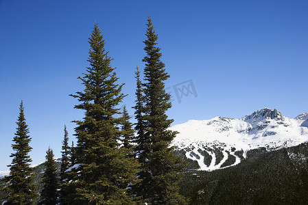 风景如画的山地滑雪道。