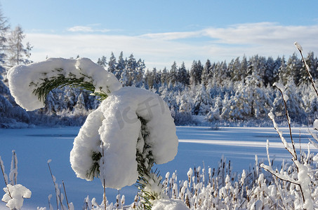 冰湖上摄影照片_白色的冬天，冰湖上的白雪皑皑的森林。