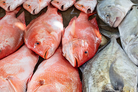 塞舌尔维多利亚市场上的鱼