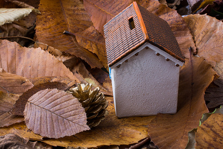 小模型房子放在秋叶上