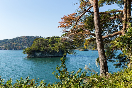 日本松岛