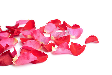 粉色玫瑰花瓣摄影照片_孤立的红色和粉色玫瑰花瓣