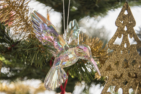 圣诞树上的玻璃蜂鸟装饰品。