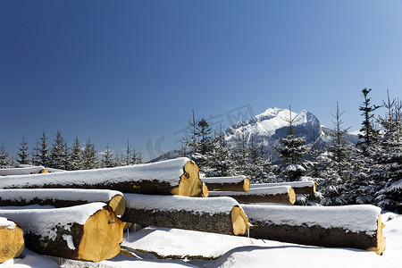 木头堆摄影照片_波兰塔特拉山的冬天，一堆木头