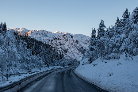 路槽冬季景观雪在福雷斯特