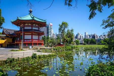 日本东京上野不忍池塘和辩天堂寺