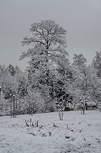 Bankya 冬季公园雪树和儿童角落的壮丽景色